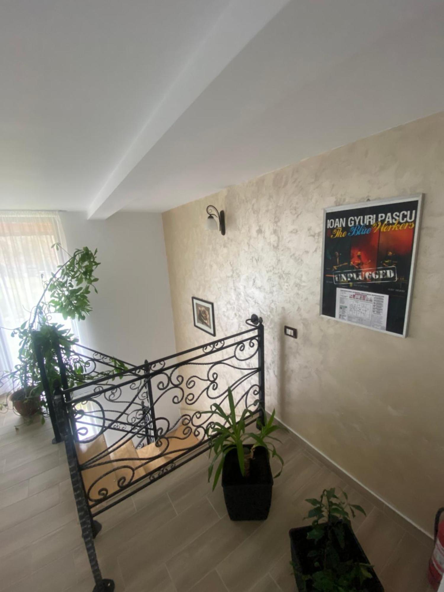 Pensiunea Casa Pancu Ceahlău 外观 照片