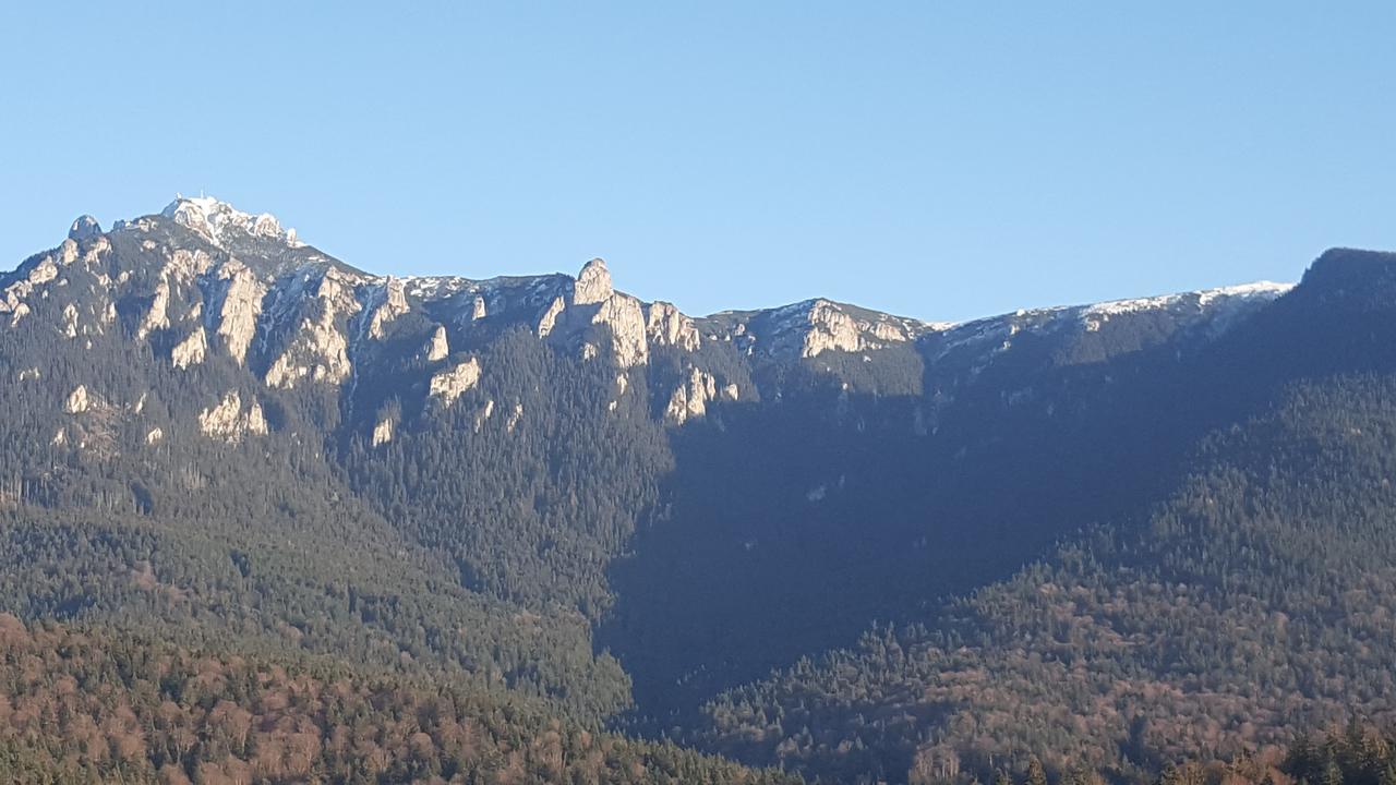 Pensiunea Casa Pancu Ceahlău 外观 照片