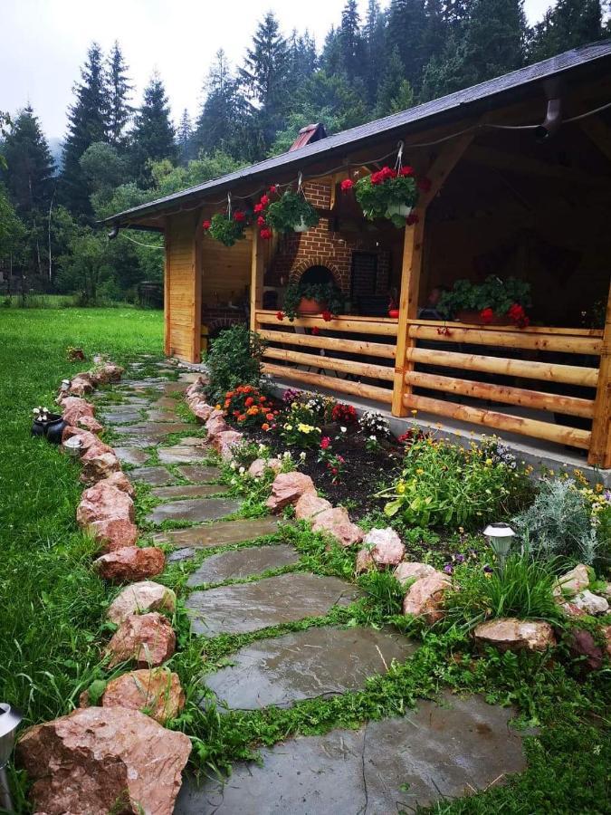 Pensiunea Casa Pancu Ceahlău 外观 照片